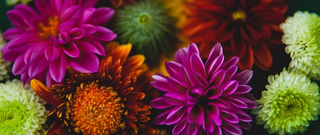 也正是这一 也正是这一