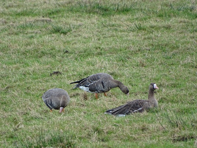 意媒：莫塔在下课前准备了下一场比赛的演讲以激.