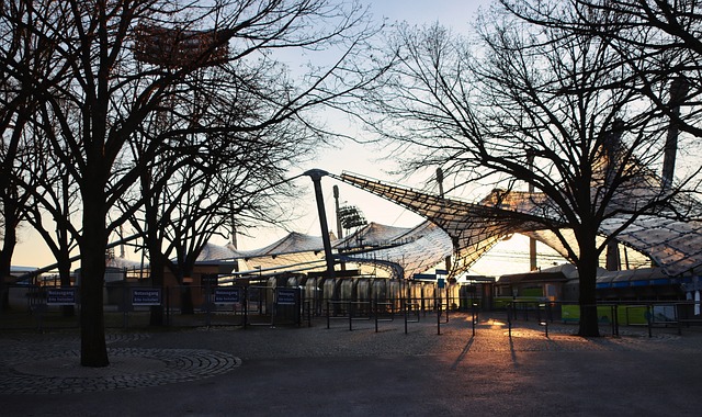 控制小牛队 控制小牛队